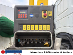 Iveco Trakker AD190T36 4x2, Kran, 